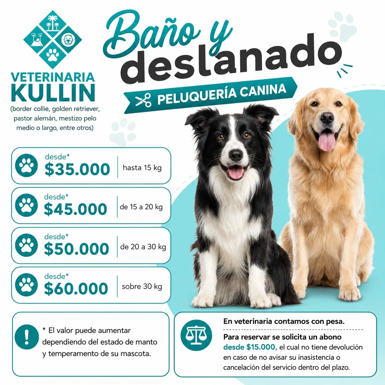 Afiche de baño y deslanado para border collie, golden retriever, pastor alemán y mestizos de pelo medio o largo. Valores desde $35.000 hasta 15 kg, desde $45.000 de 15 a 20 kg, desde $50.000 de 20 a 30 kg y desde $60.000 sobre 30 kg.