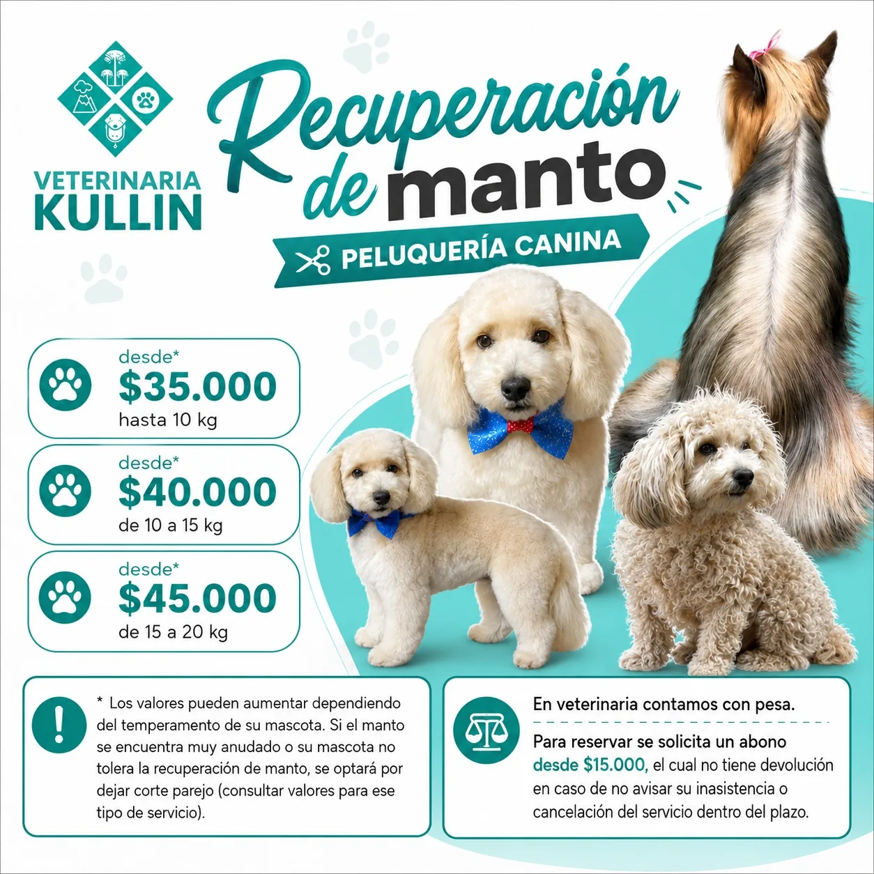 Afiche de recuperación de manto. Valores desde $35.000 hasta 10 kg, desde $40.000 de 10 a 15 kg y desde $45.000 de 15 a 20 kg.